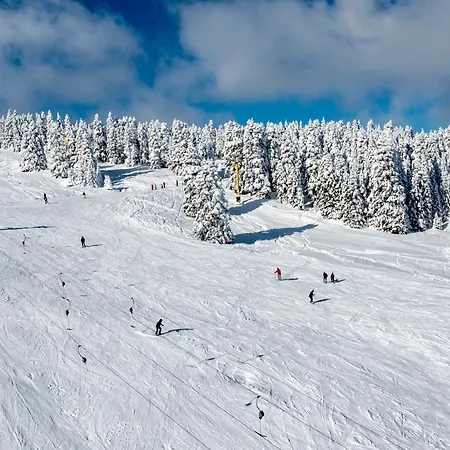 Jura Kervansaray
