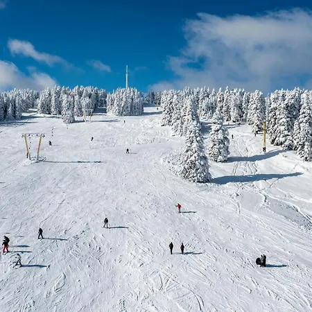 Jura Kervansaray 3*