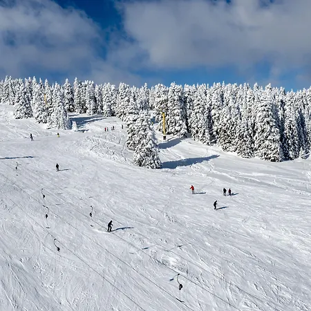 Jura Kervansaray 호텔