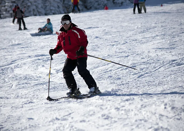 Ξενοδοχείο Jura Kervansaray Uludag (Bursa)